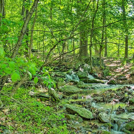 Renovated Studio On 5 Acres - Near Vineyards! Crozet エクステリア 写真