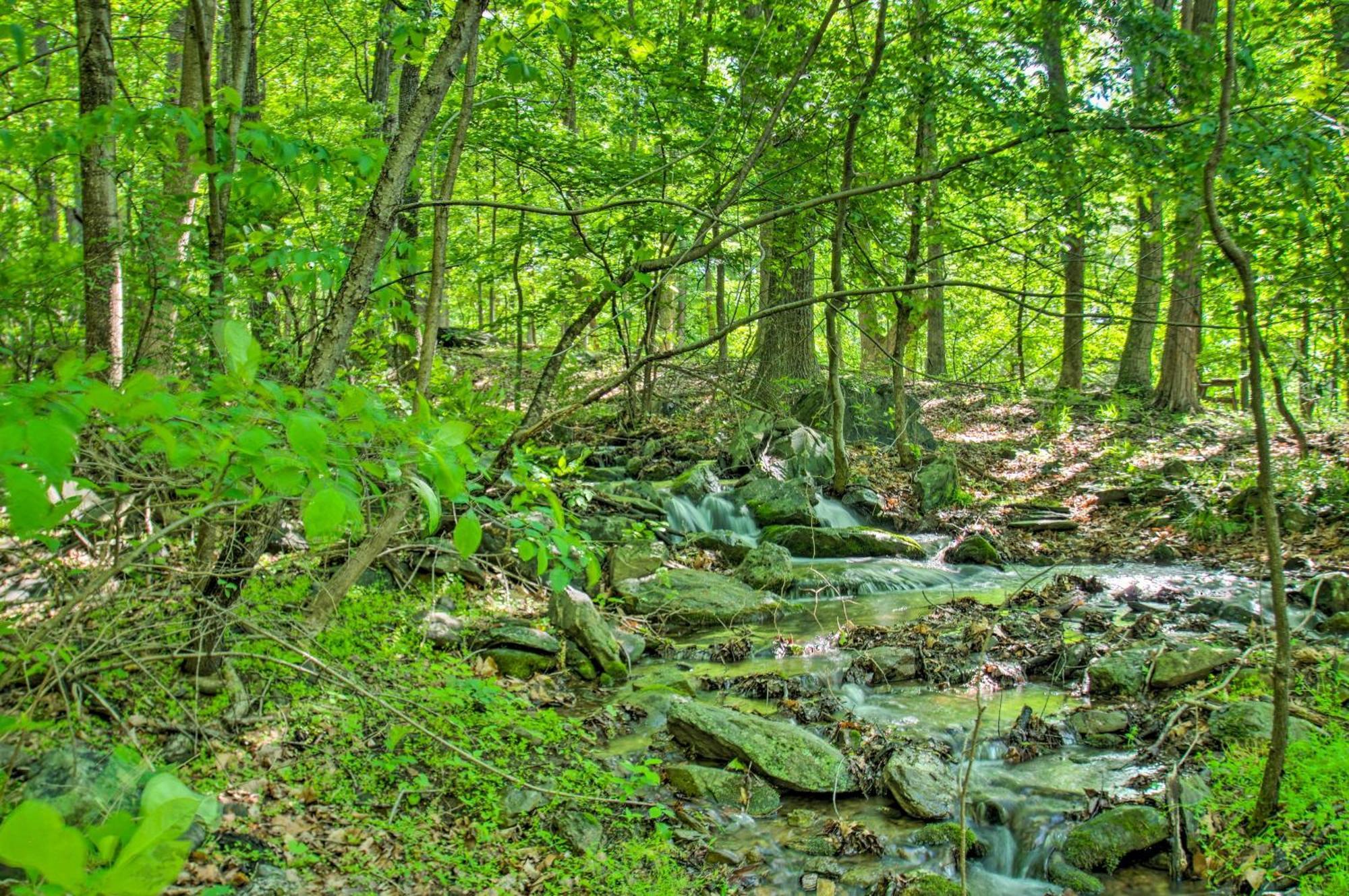 Renovated Studio On 5 Acres - Near Vineyards! Crozet エクステリア 写真